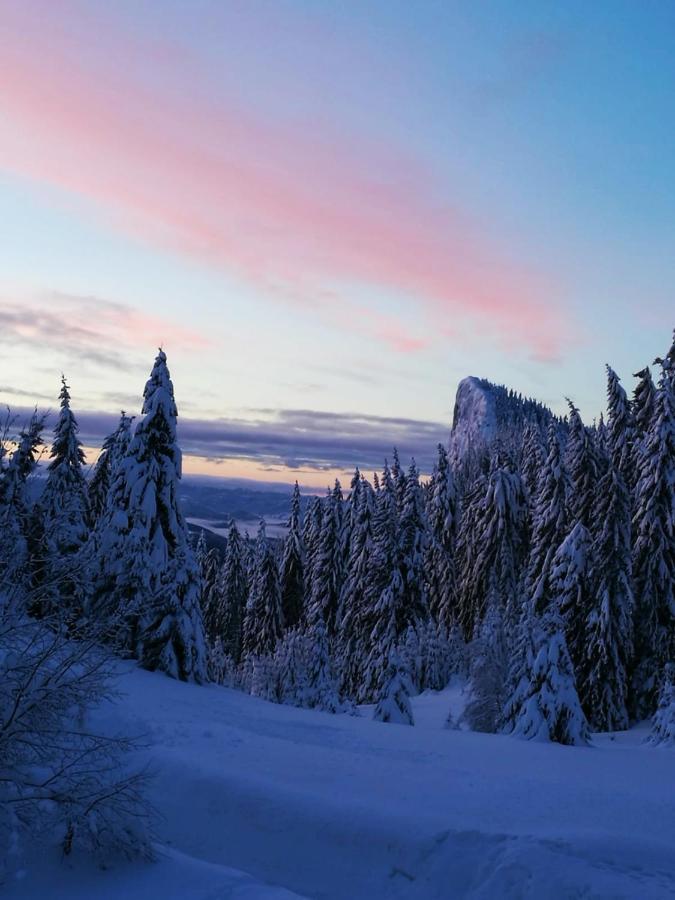 Elitza Villa Pamporovo Luaran gambar