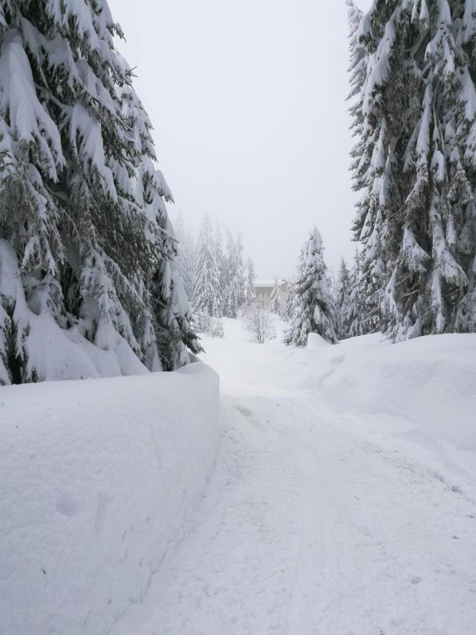 Elitza Villa Pamporovo Luaran gambar