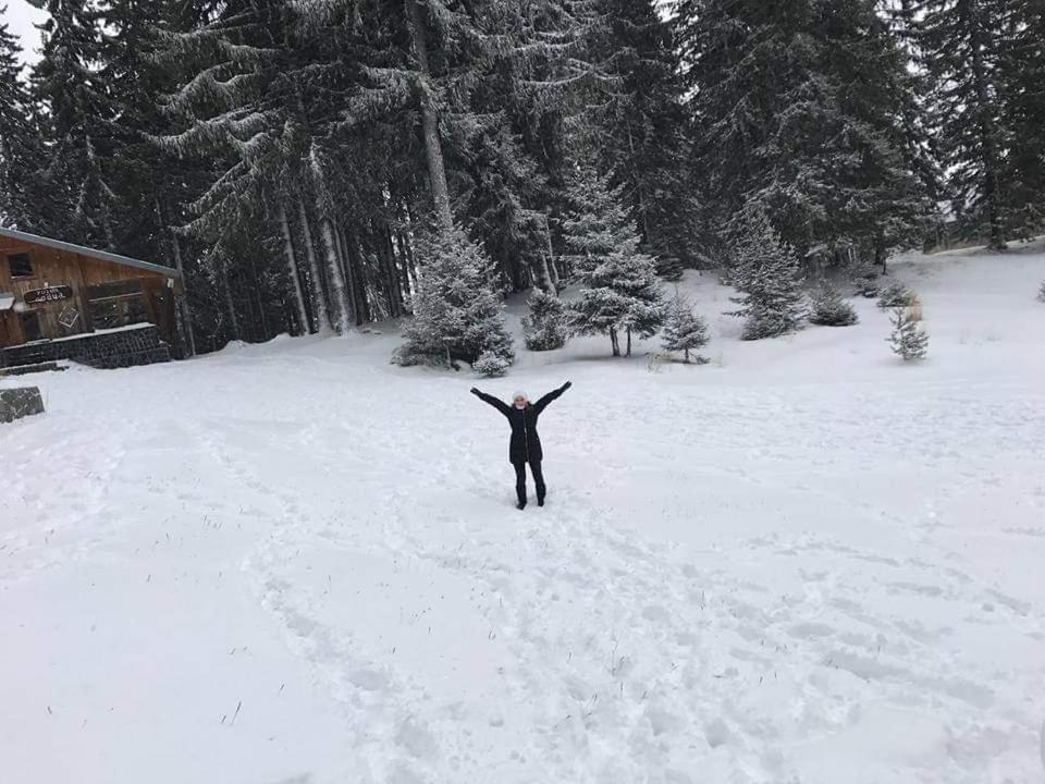 Elitza Villa Pamporovo Luaran gambar