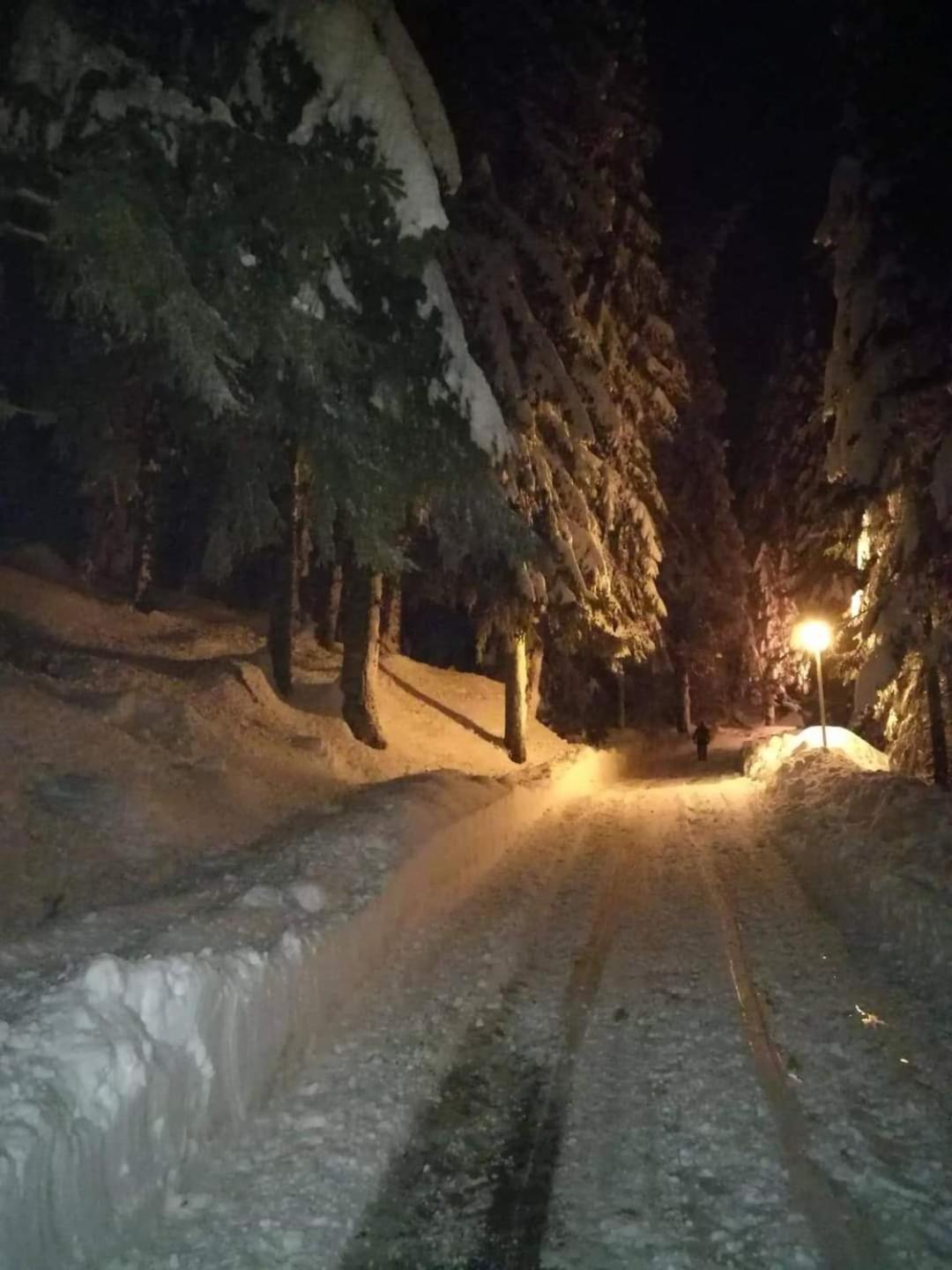 Elitza Villa Pamporovo Luaran gambar