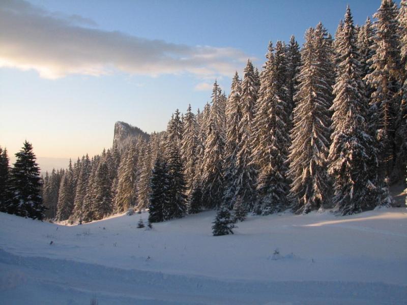 Elitza Villa Pamporovo Luaran gambar
