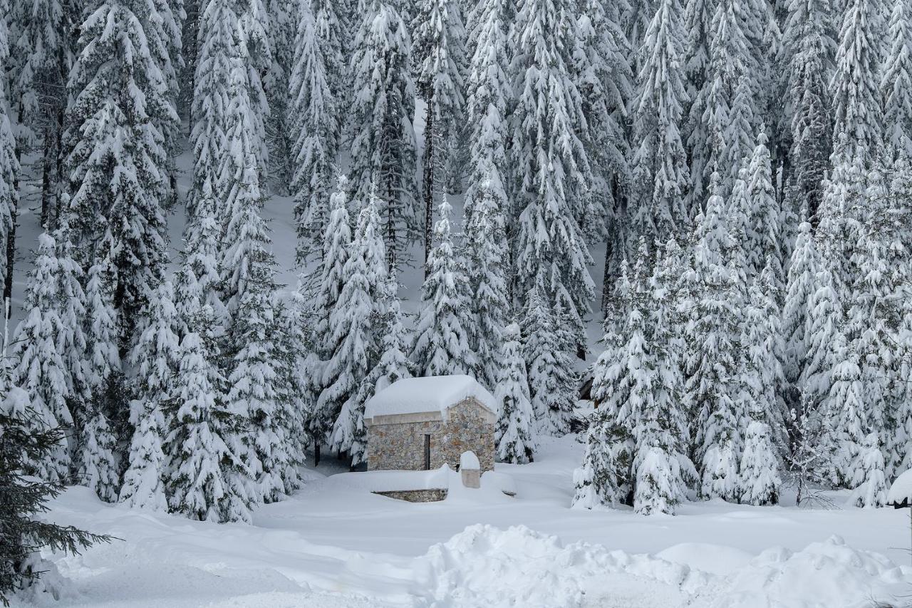 Elitza Villa Pamporovo Luaran gambar